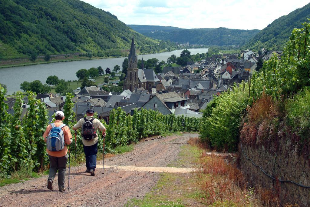 Wein- Und Gaestehaus St. Aldegundishof Sankt Aldegund Eksteriør billede
