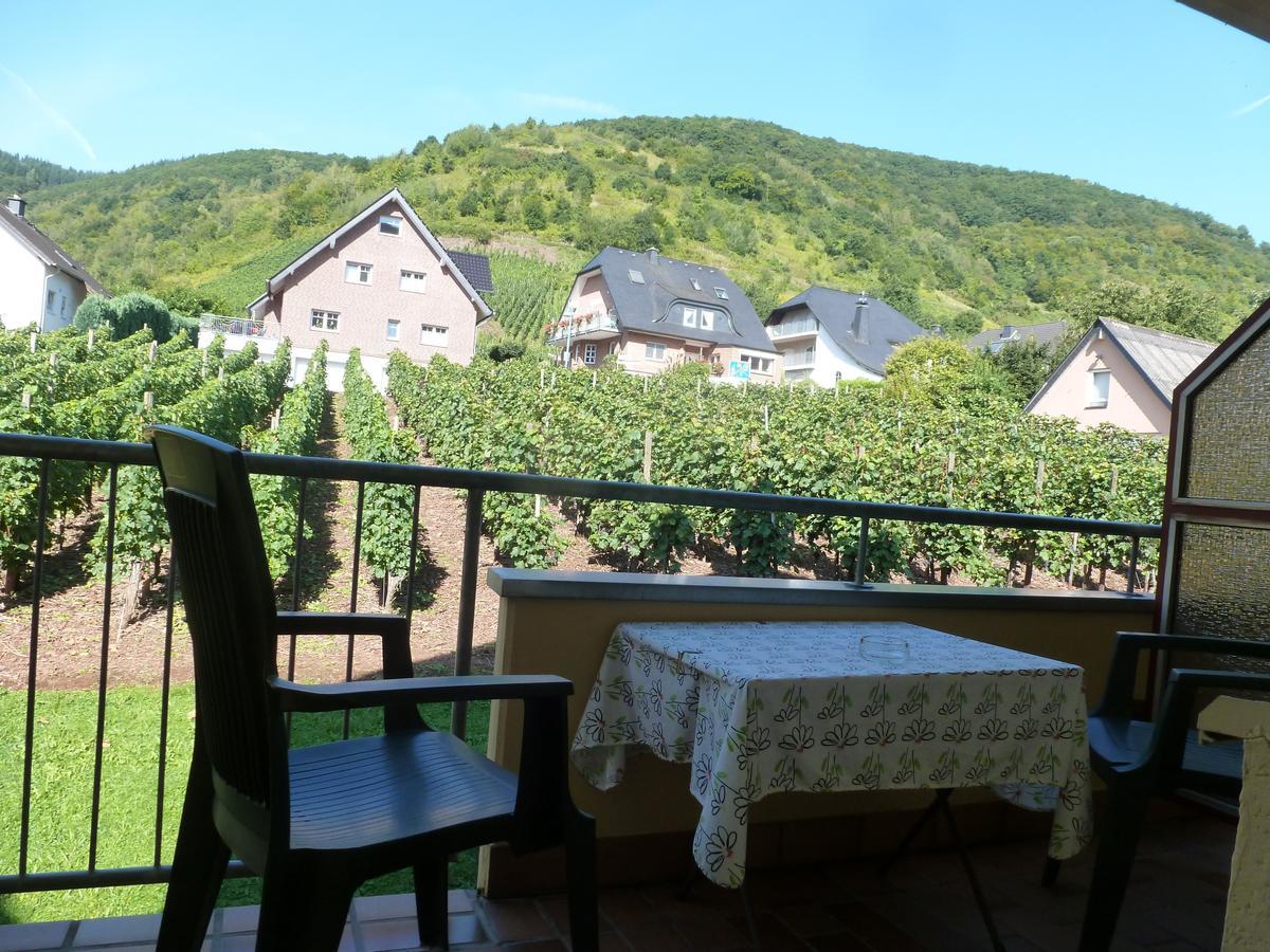 Wein- Und Gaestehaus St. Aldegundishof Sankt Aldegund Eksteriør billede